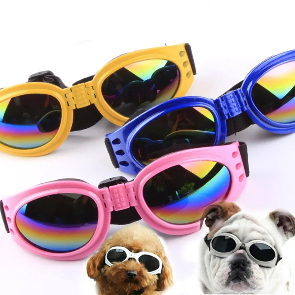 A collection of colorful pet sunglasses featuring rainbow lenses in pink, yellow, and blue shades.
