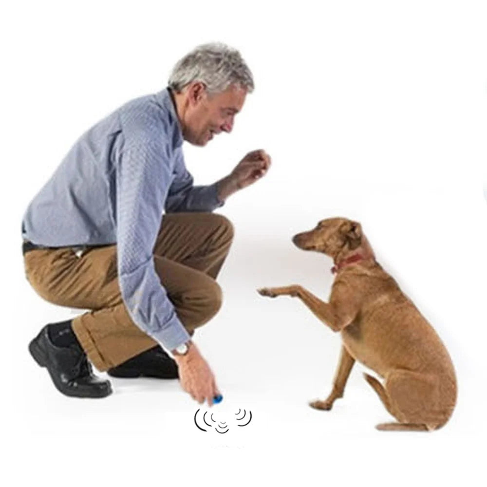 2-in-1 Dog Training Clicker and Whistle with Keyring