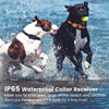Waterproof Remote Dog Training Collar with Rechargeable Battery