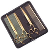 A set of professional stainless steel pet grooming scissors and a comb stored in a black zippered case.