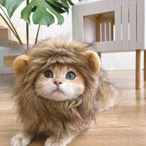 A fluffy, light brown lion mane costume hat for a cat sitting on a wooden floor.