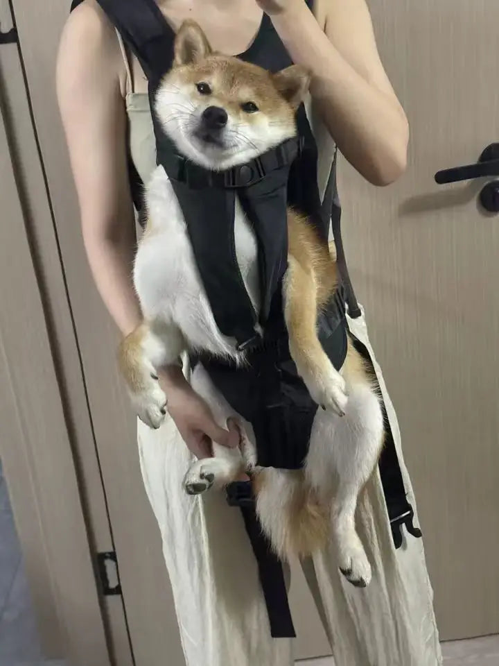 Mochila Portaperros de Pecho