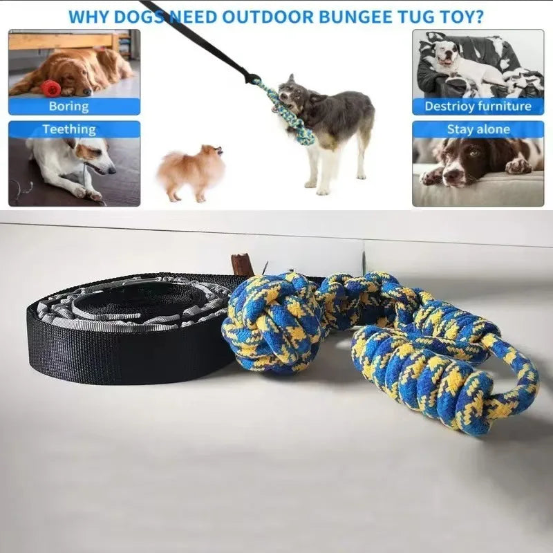 Interactive Bungee Tug Toy for Dogs