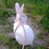 Adjustable Linen Rabbit Harness and Leash Set with Padded Comfort