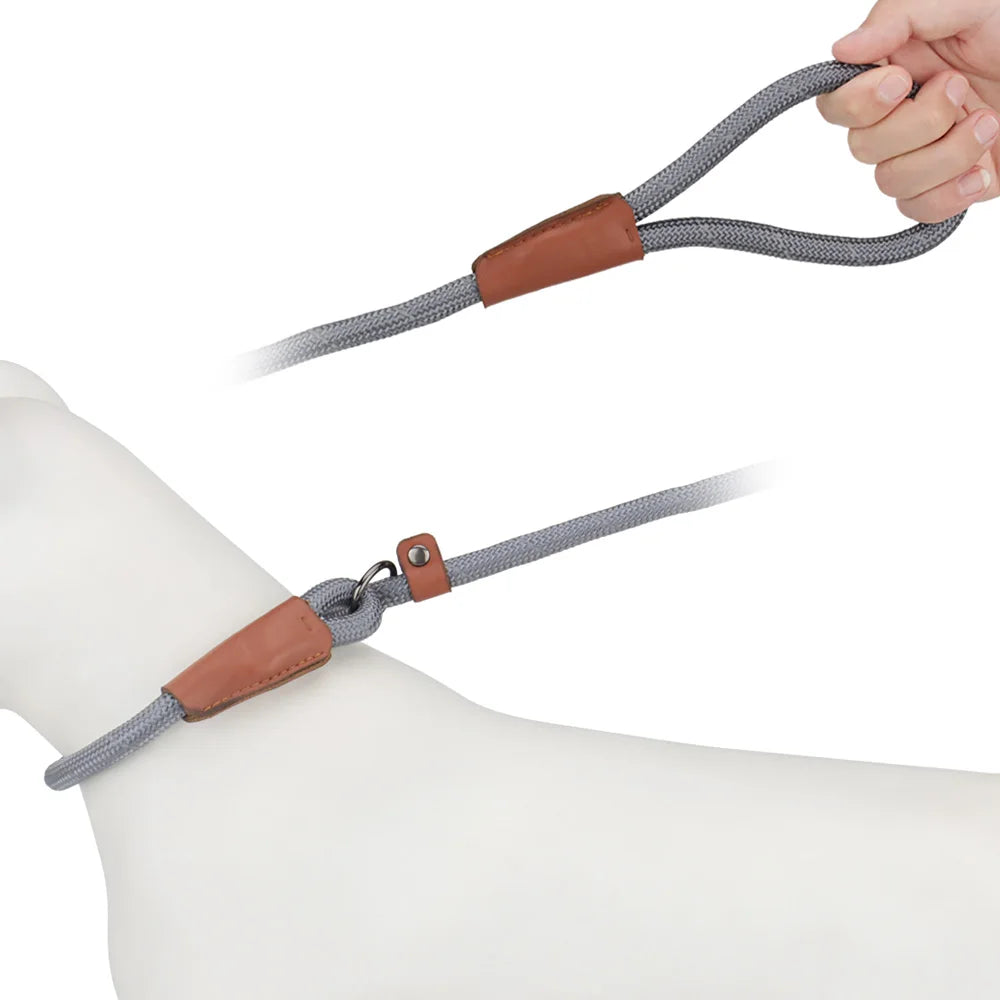 A hand is holding a reflective P-shape dog leash with brown leather accents and gray fabric.