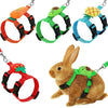 A set of adjustable bunny rabbit pet harnesses and leashes in orange, green, and blue colors.