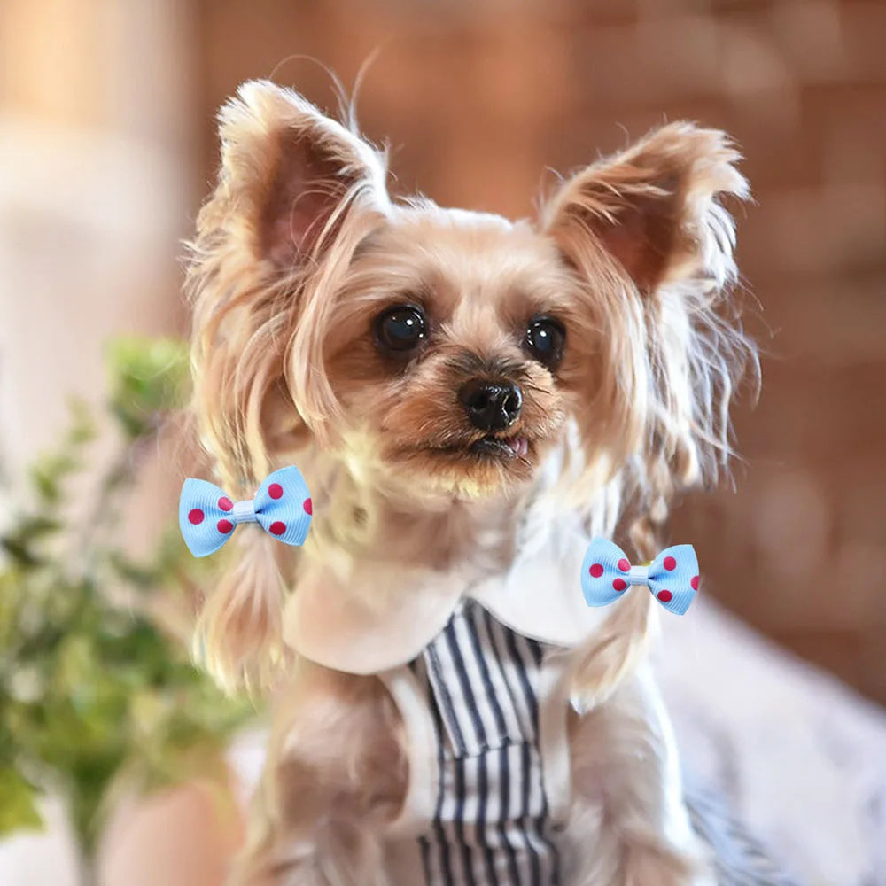 Handmade Dog Bows with Rubber Bands - Polka Dot & Solid Styles
