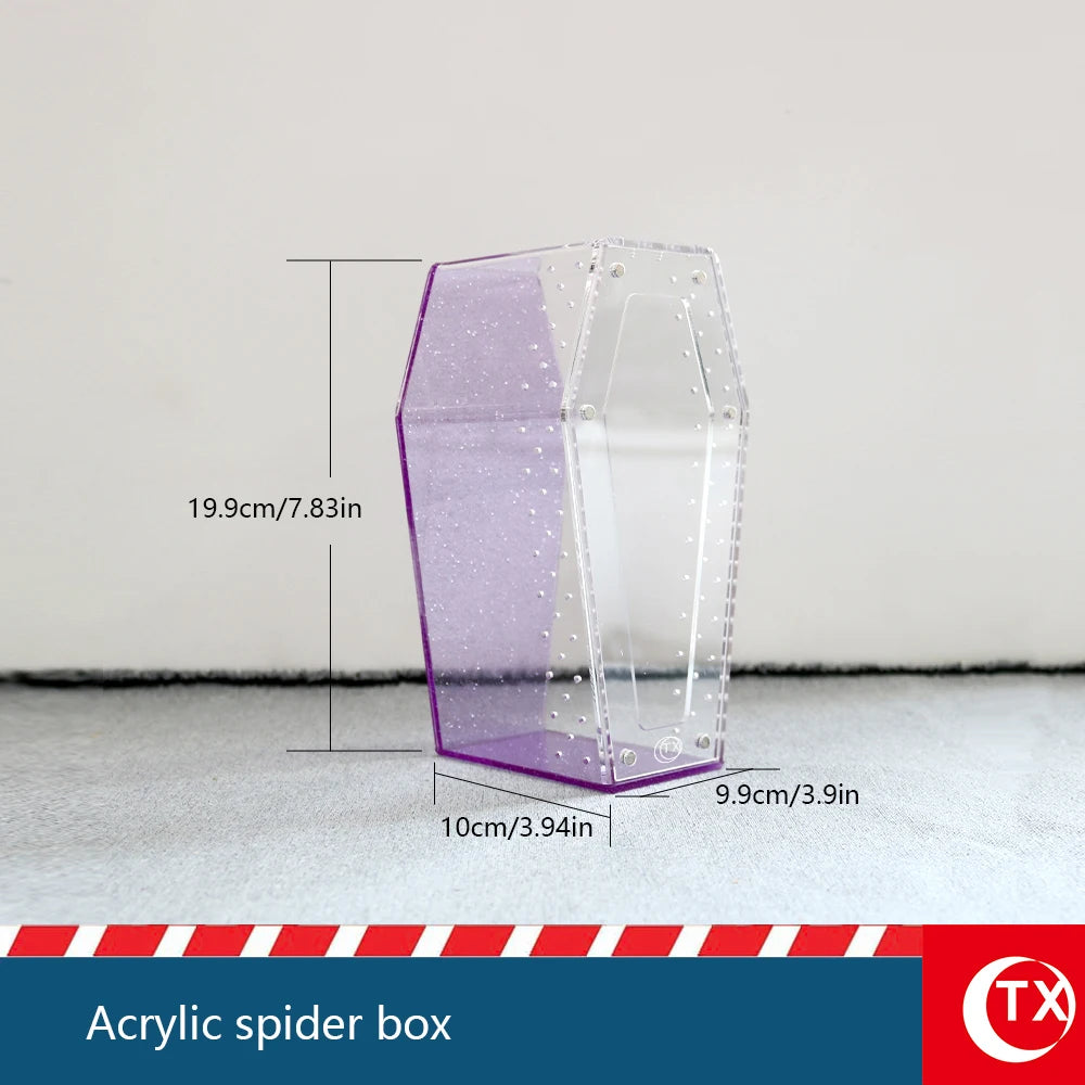 A clear acrylic spider box with purple accents shown standing on a surface.