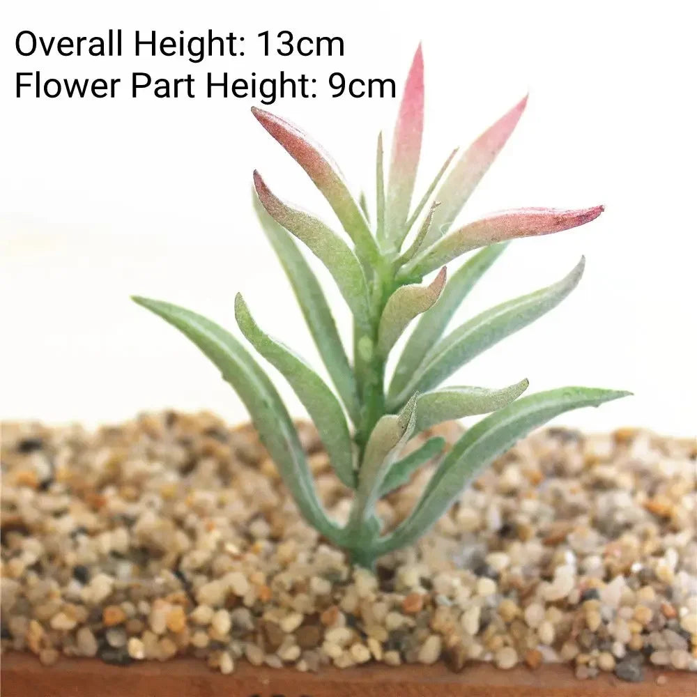 A small, upright succulent plant with pink tips is planted in coarse gravel for home decor.