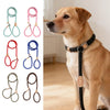 A collection of various colored heavy duty slip lead dog leashes with adjustable stoppers displayed next to a golden-colored 