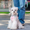 Striped Color-Block Dog Harness with Matching Leash