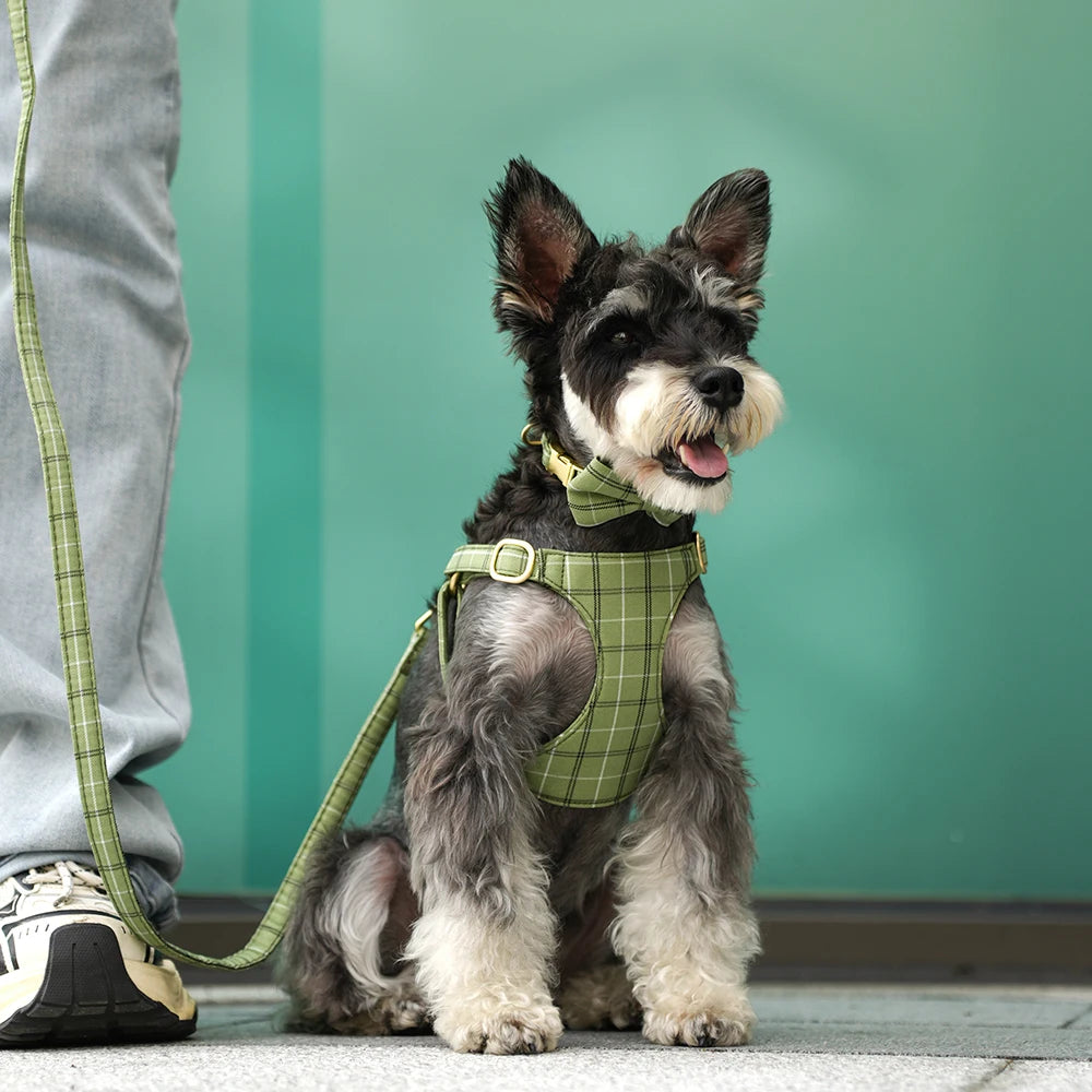 Classic Plaid Dog Collar, Harness & Leash Set with Bowtie