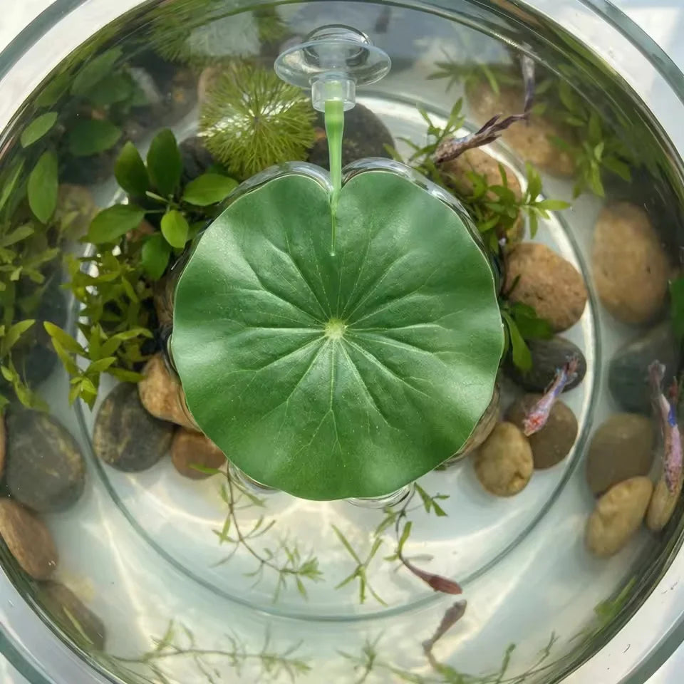 Artificial lotus leaf rest bed for betta fish, featuring a large green leaf in a glass bowl with small pebbles and plants.