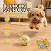 Interactive Squeaky Bouncing Chick Ball for Dogs & Cats