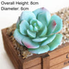 A light blue succulent plant with rounded leaves is displayed in a wooden box on a bed of small gravel.