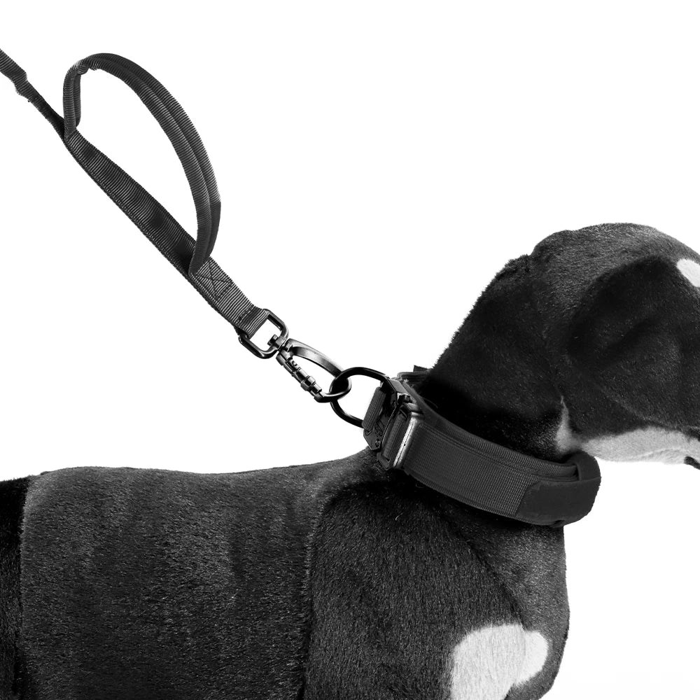 Black heavy duty bungee dog leash with dual padded handles attached to a dog's collar.