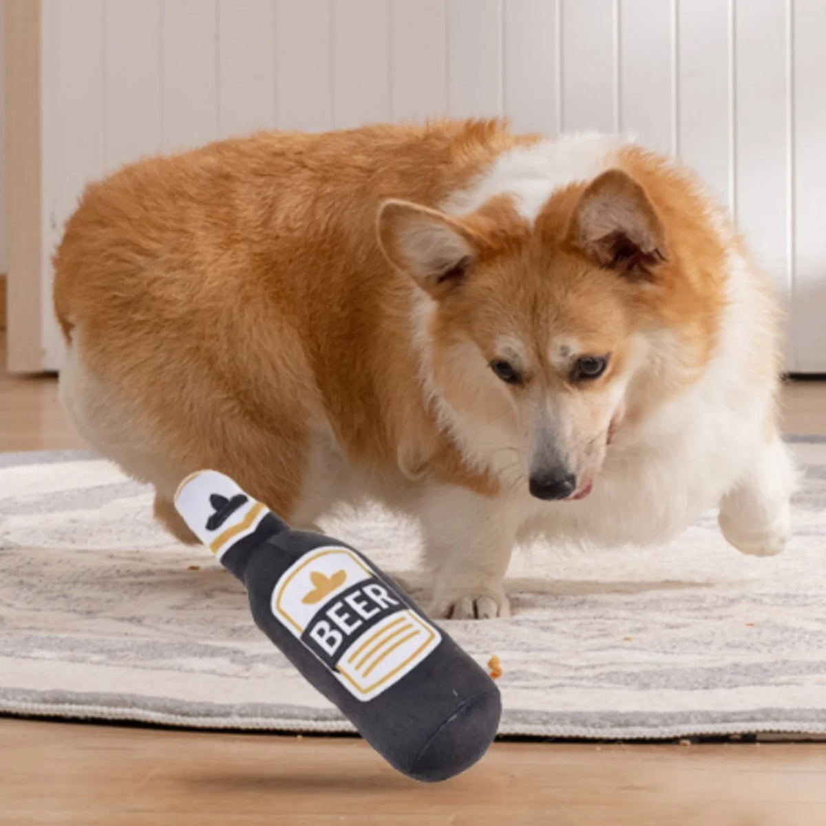 A fluffy orange and white dog is playing with a black beer bottle squeaky toy on a light rug.