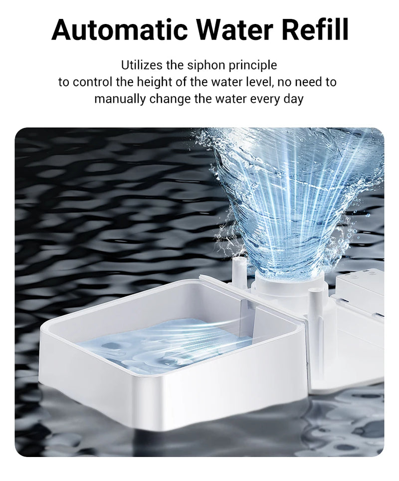Distributeur Automatique de Nourriture et Fontaine à Eau pour Animaux