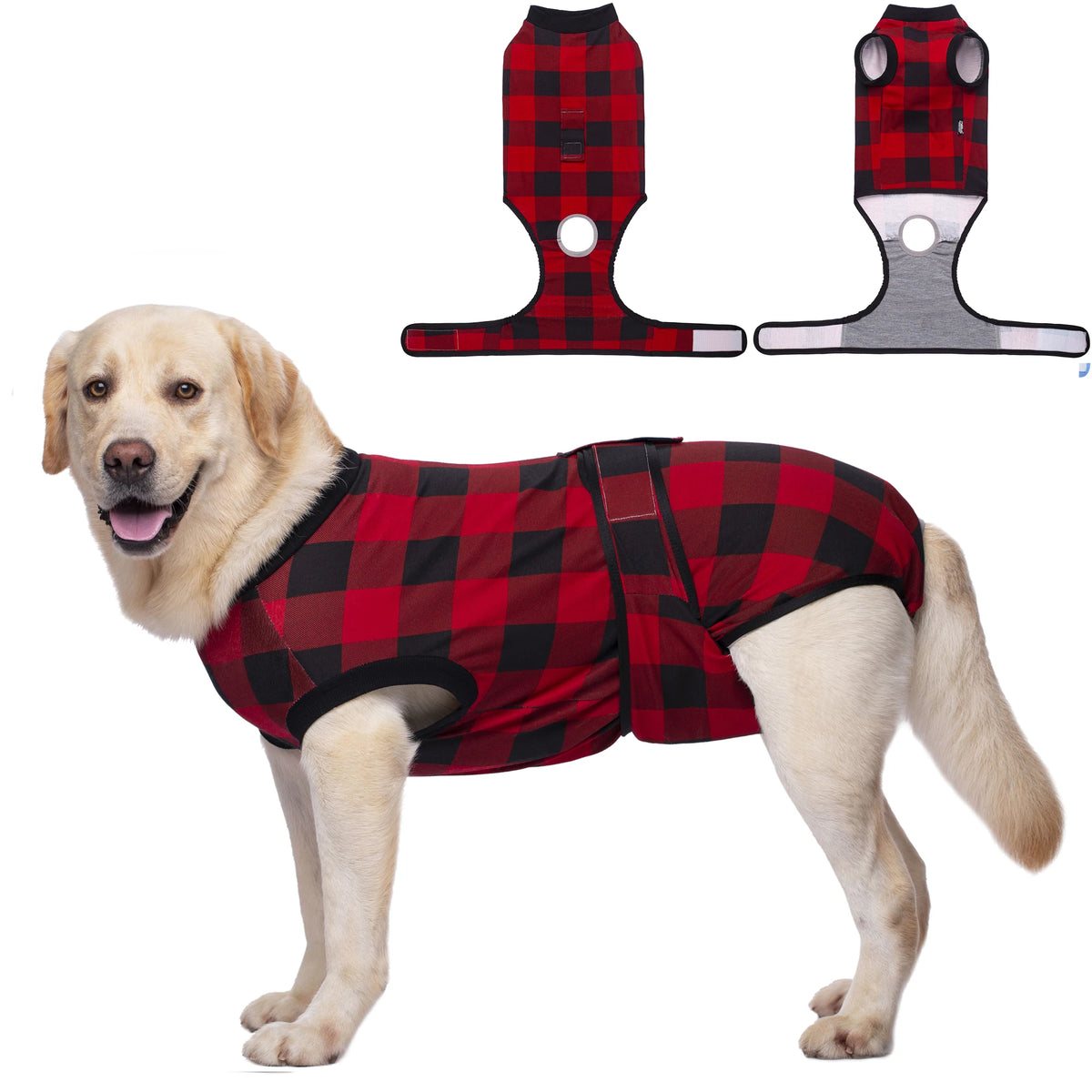 A golden retriever wearing a red and black plaid dog post-surgery recovery suit with attached orthopedic braces.
