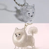 Transparent Pet Hair Keepsake Charm for Keys