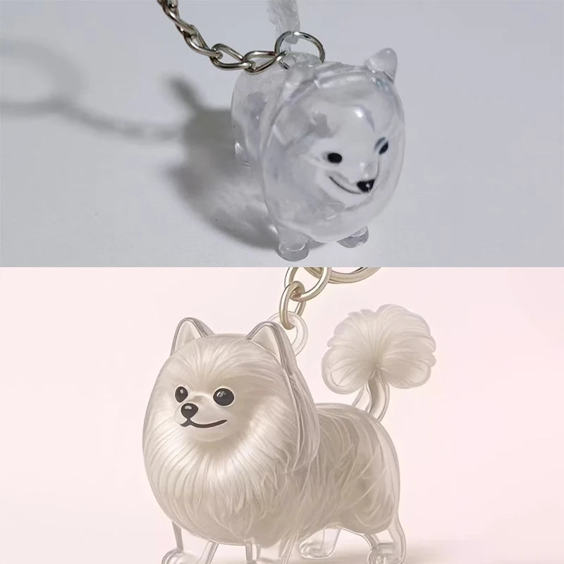 Transparent Pet Hair Keepsake Charm for Keys