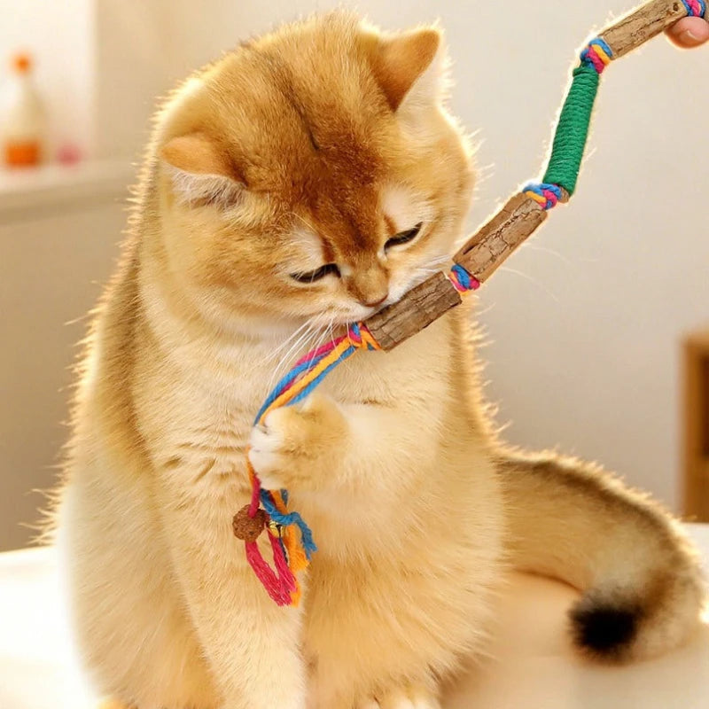 Robbes Knotenseil-Spielzeug für Hunde & Katzen