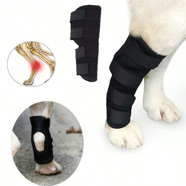 Black pet knee support bandage shown on a leg, with close-ups illustrating joint stability and application.