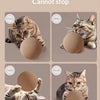 A tabby cat plays with a natural sisal toy ball, demonstrating chase, bite, and hold actions.