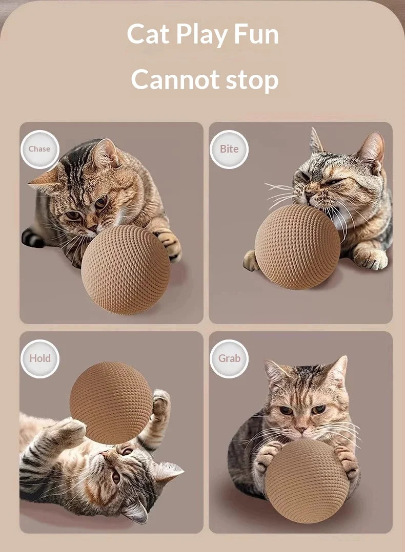 A tabby cat plays with a natural sisal toy ball, demonstrating chase, bite, and hold actions.