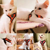 A collection of white cats wearing orange and black pet harnesses.