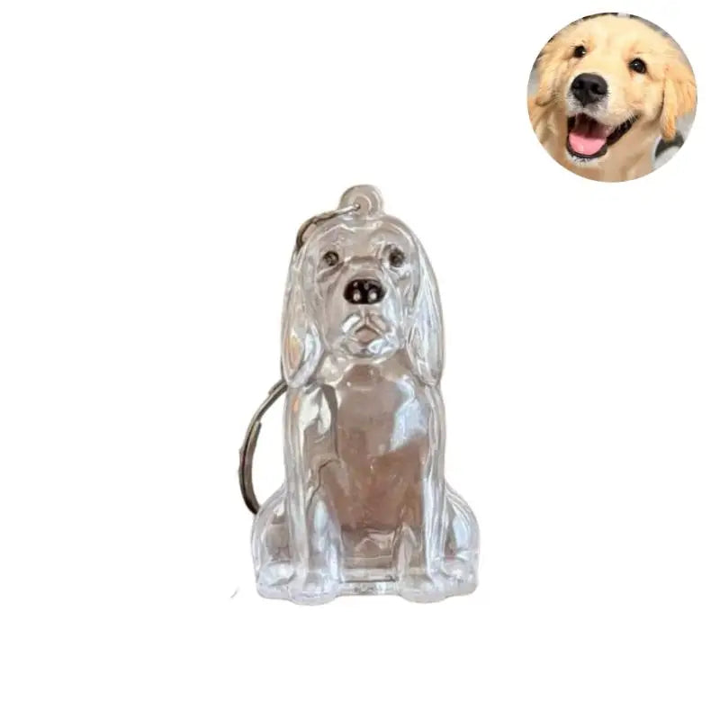 Pet Hair Keepsake Keychain with Transparent Capsule