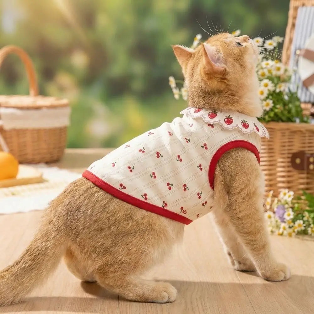 Ruffled Collar Cat Strawberry Vest with Cherry Pattern