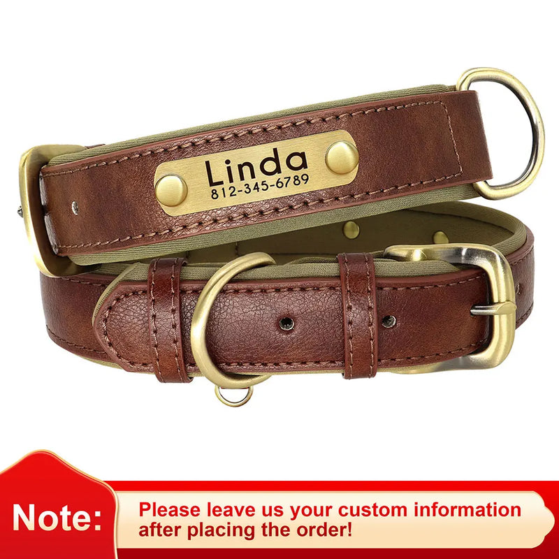 Personalisierte gepolsterte Leder-Hundehalsband mit graviertem Namensschild