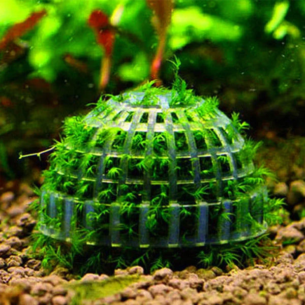 2pc Moss Sphere Aquarium Landscape Decor
