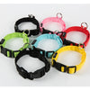 LED-Sicherheits-Hundeleine und Halsband-Set