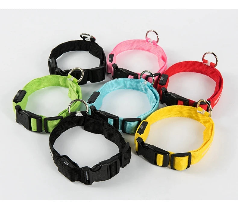 LED-Sicherheits-Hundeleine und Halsband-Set
