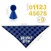 A blue felt party hat, a black and blue checkered bandana, and a gold number 9 for a birthday boy theme.