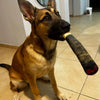 Jouet en Peluche pour Chien en Forme de Cigare