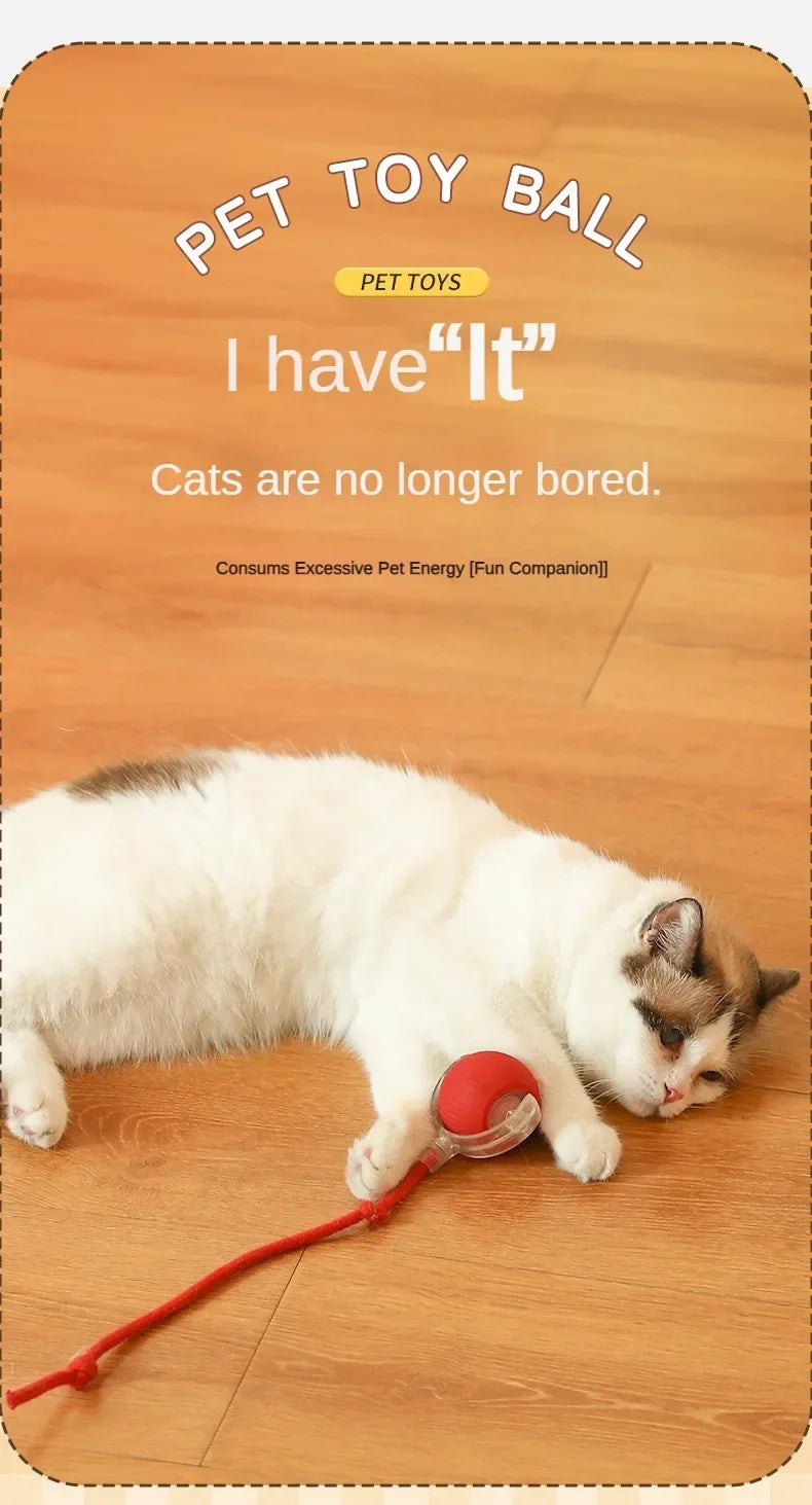 Interactive Automatic Rolling Cat Toy with Tail
