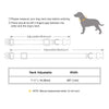 Reflektierendes Nylon-Hundehalsband mit Glocke und Namensschild