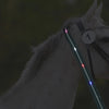 Arnés de pecho con LED para caballos: Seguridad en paseos nocturnos