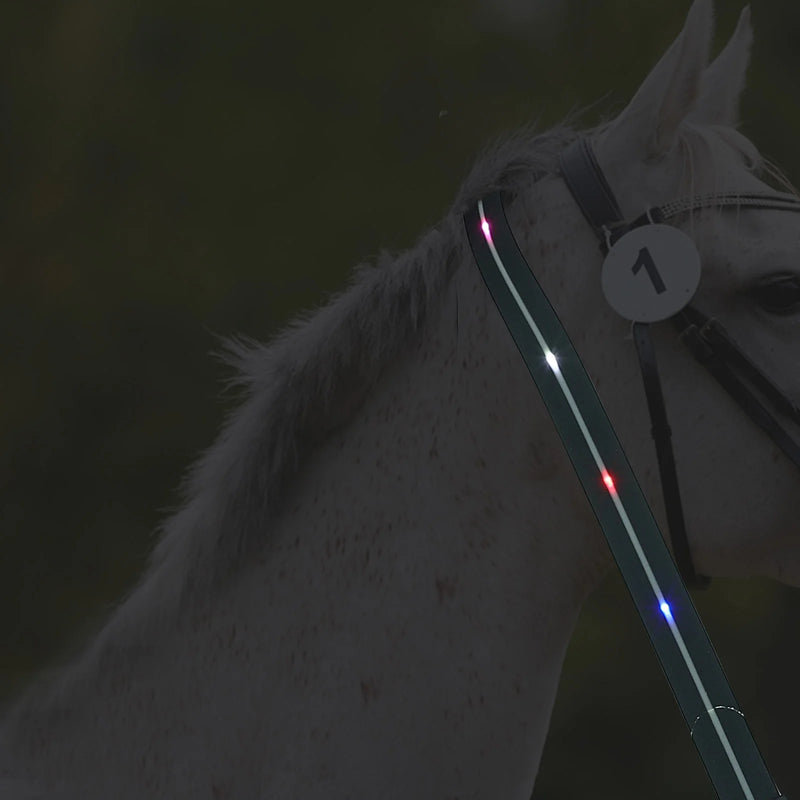 Arnés de pecho con LED para caballos: Seguridad en paseos nocturnos
