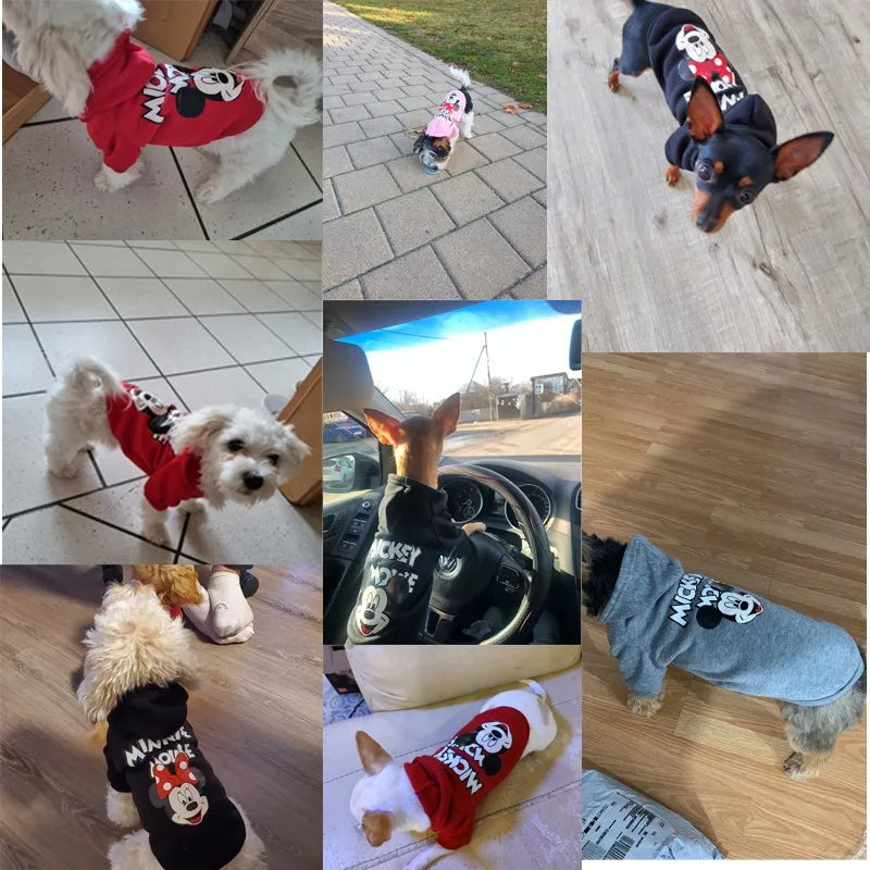 Sudadera con Capucha para Perro con Estampado Disney