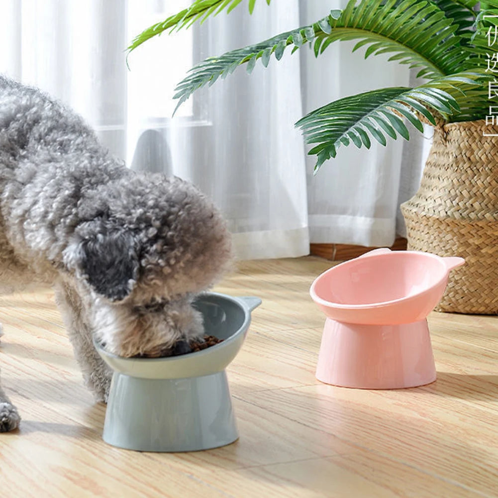 A gray cat is eating from a tilted, light blue ceramic food bowl on a wooden floor.