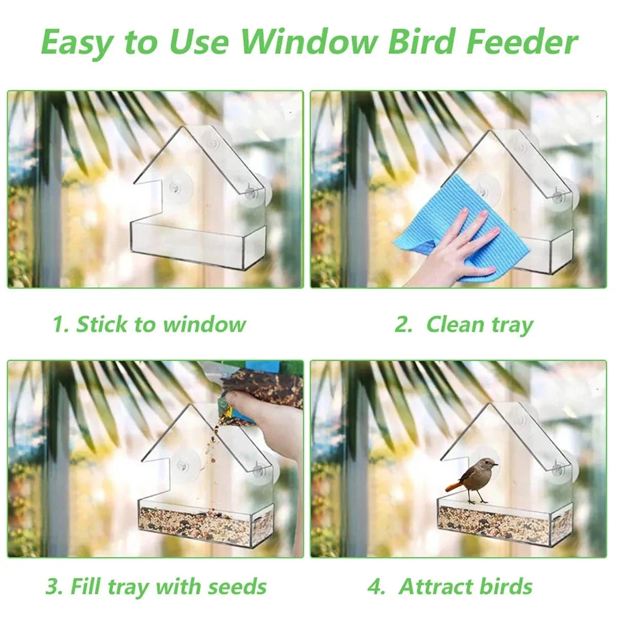 Window Bird Feeder with Suction Cups