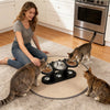 A woman is sitting on the floor with three tabby cats eating from an elevated bowl stand filled with dry food.
