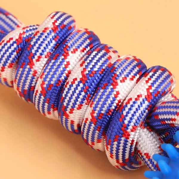 A close-up of a blue and white braided dental chew ring for dogs.