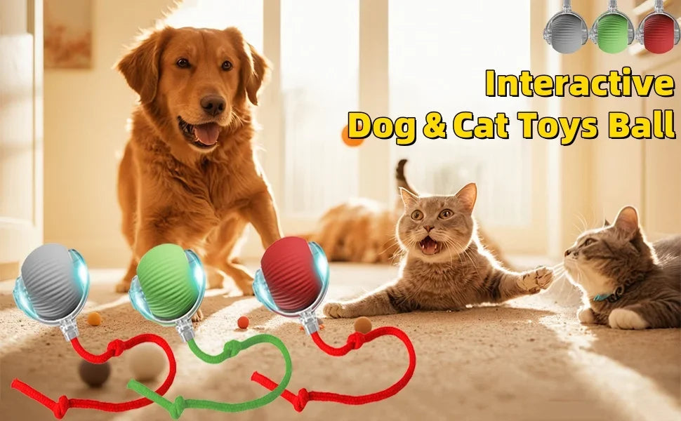 Interactive dog and cat toys balls with LED lights and faux tails being played with on a floor