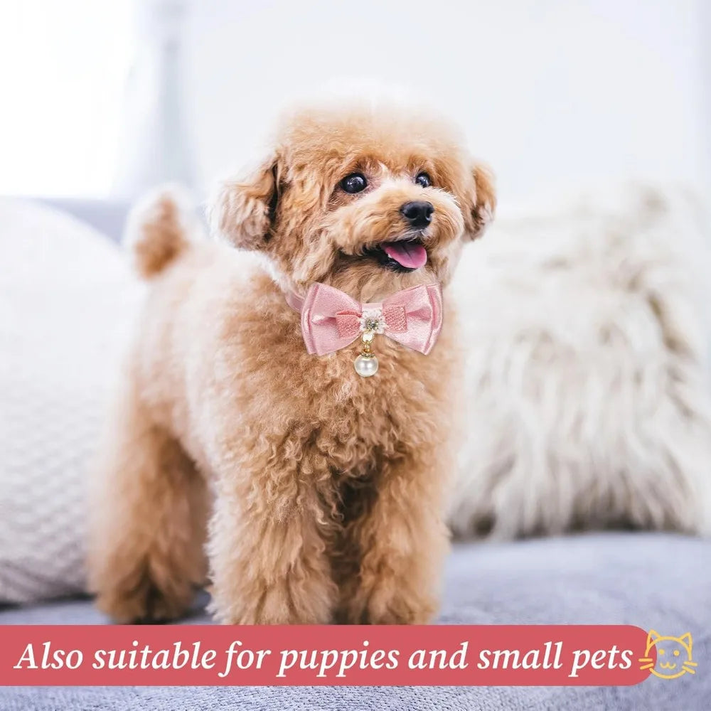A fluffy light brown dog wearing a pink bow cat collar with a breakaway safety buckle.