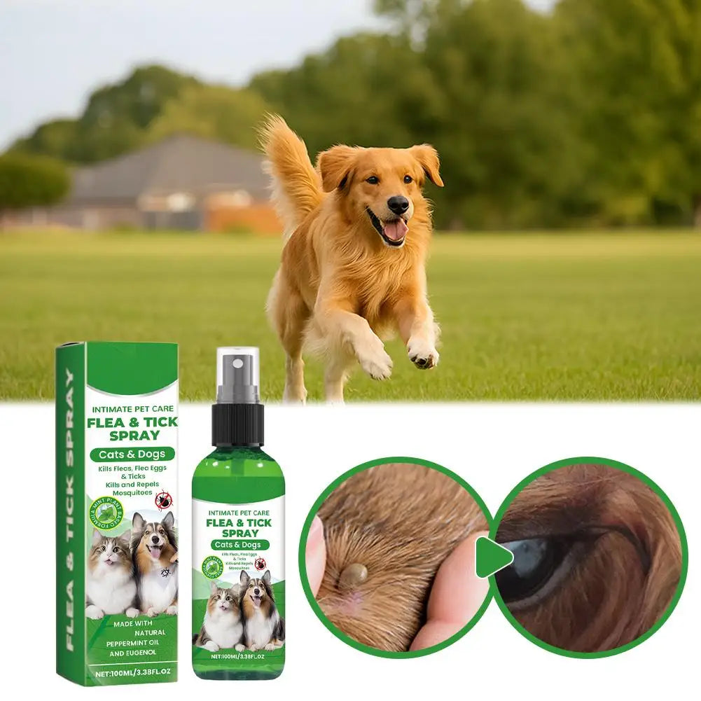 A golden dog running outdoors next to a bottle of flea & tick spray for pets.